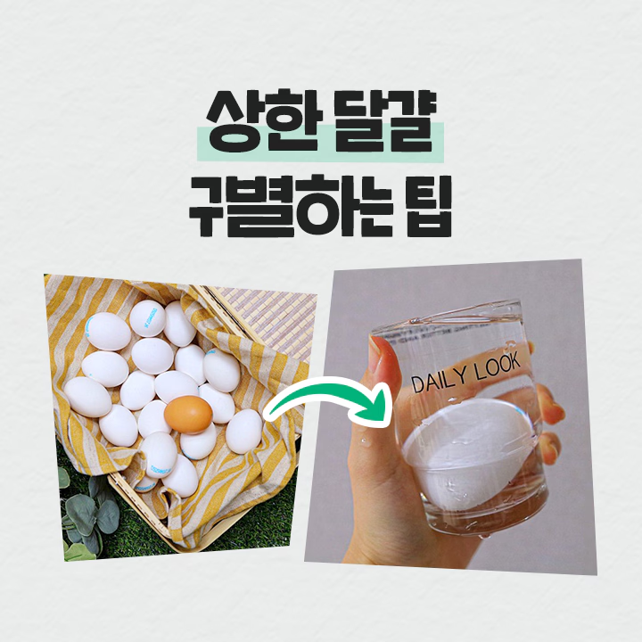 유통기한 지난 계란, 절대 버리지 마세요! (+ 활용 및 보관 팁)