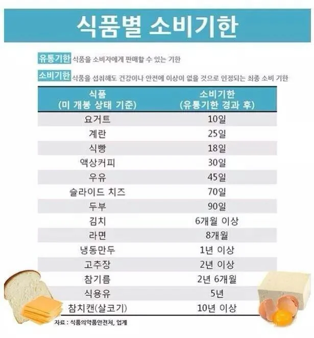 유통기한 지난 치즈 절대 버리지 마세요! (+ 활용 방법 및 보관 팁)